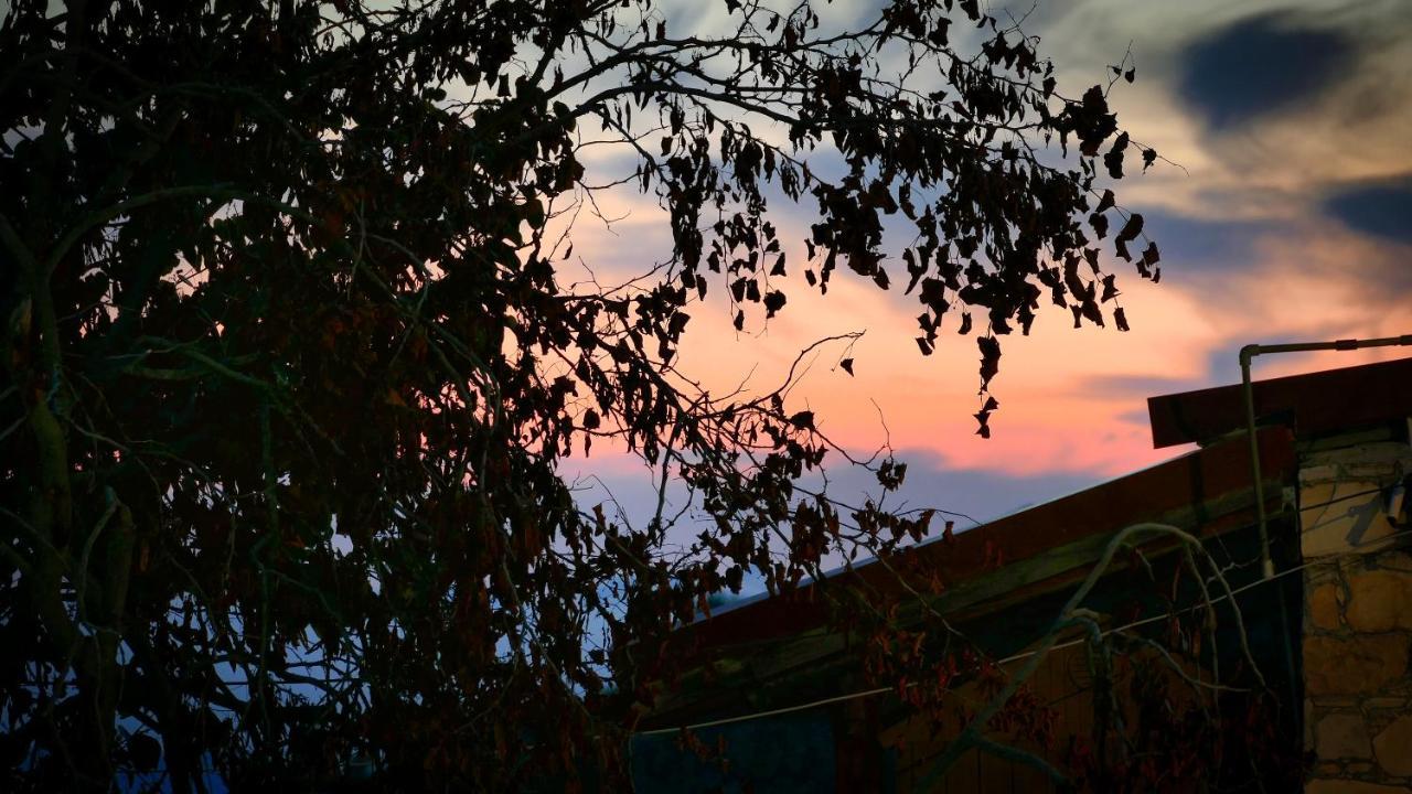 Haven Villa Limasol Dış mekan fotoğraf